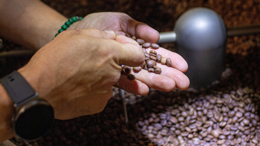 ¿QUIERES SABER QUE ES EL CAFÉ DE ESPECIALIDAD?