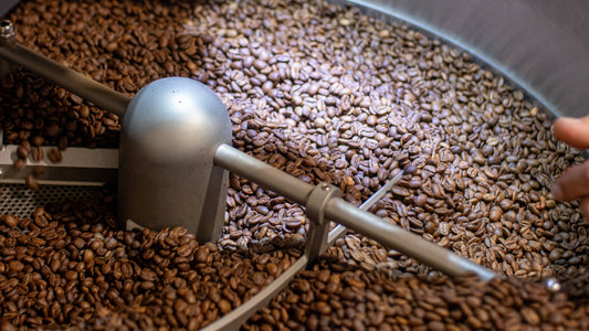 CÓMO ELEGIR EL CAFÉ PERFECTO PARA TI