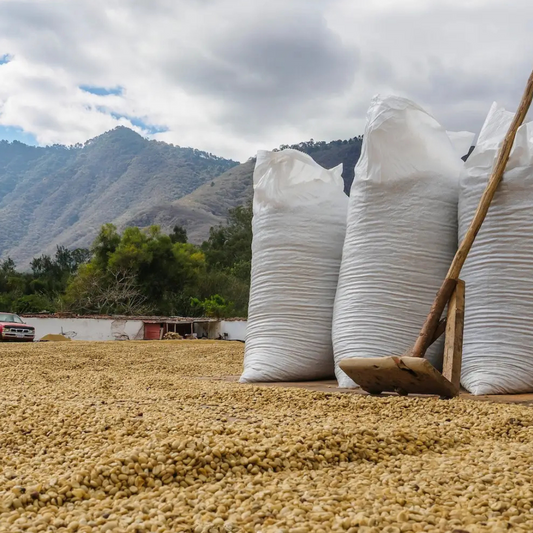 TATA NAHUAL - GUATEMALA, ACATENANGO