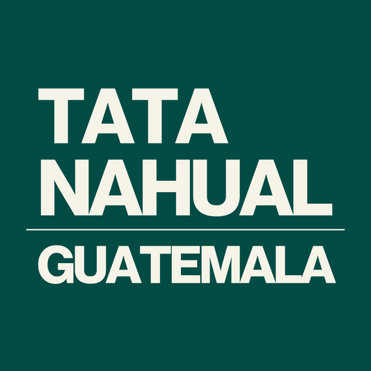 Etiqueta del café Tata Nahual de Guatemala, café de especialidad de Levante Brew & Co., variedad bourbon, proceso lavado