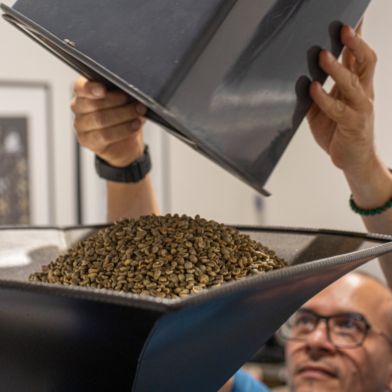 Granos de café verde entrando en el tostador artesanal de Levante Brew, inicio del proceso de tueste.