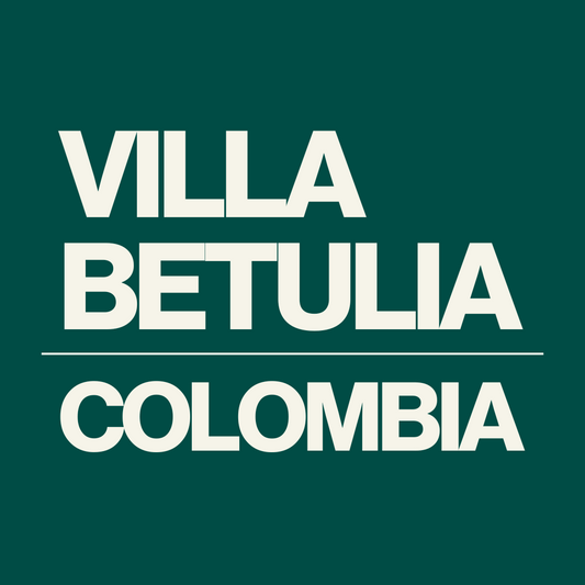 Villa Betulia – Café de especialidad de Colombia, variedad Pink Bourbon, tostado por Levante Brew & Co.