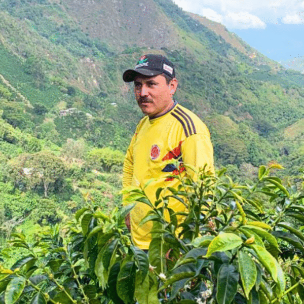 EL LIMÓN - Imagen 2
